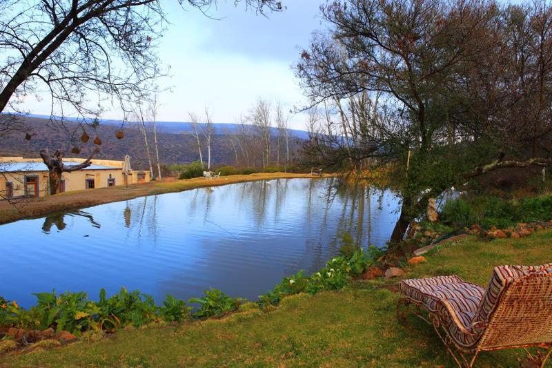 Keurfontein Country House Willowmore Ngoại thất bức ảnh